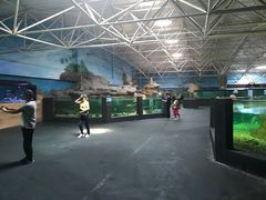 -秦皇岛乐岛海洋王国