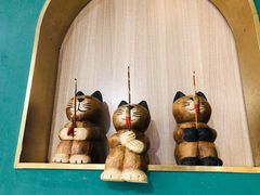 -飞行喵MR PILOT|猫舍·猫咖(静安大融城店)