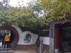 -老张烤羊(王哥庄店)