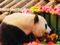 -杭州动物园