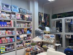 -唐小姐の私宠·宠物洗护美容·撸猫馆·购宠(周浦万达旗舰店)