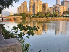 -光明港公园