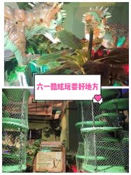-恐龙探索乐园(磁器口店)