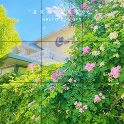 -月之旅·尊 高端月子会所(科馨别墅一店)