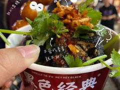 -黑色经典臭豆腐·湖南特产(坡子街店)