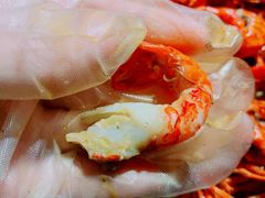 -沪小胖小龙虾(淮海中路旗舰店)