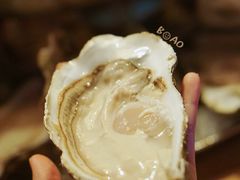 嘉文生蚝王-囧吉香生蚝牛排馆(湖北路店)