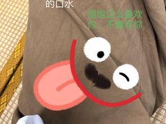 -柴迷FANS CLUB·柴犬狗咖·猫咖