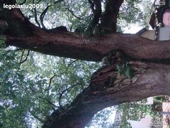 -新安江山水画廊风景区