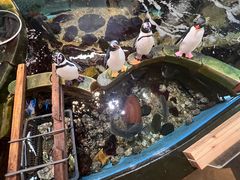 -海鮮市場長崎港(出島ワーフ店)