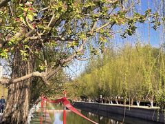 -海棠花溪(元大都城垣遗址公园)