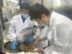 -申普宠物医院·眼科·心内科·影像科(普陀分院)