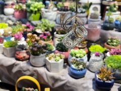 -循礼门鲜花花市(武汉循礼门店)