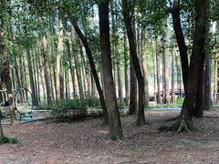 -东湖落雁景区