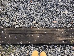 -新天地活力PARK