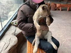 -鄂尔多斯野生动物园