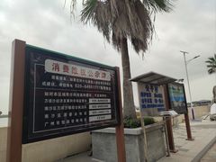 -大湾区中央湿地公园-十九涌