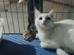 -赢吧Bliss音乐酒吧