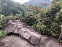 -天龙顶山地公园