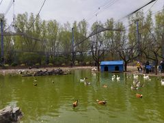 -森林公园(尖草坪区)