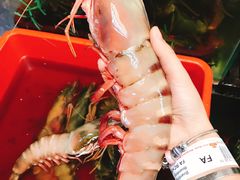-ZF Seafood Restaurant 卓峰海鲜餐