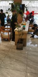 -一東造型烫发染发