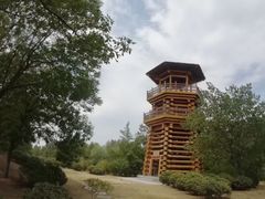 -西安浐灞国家湿地公园