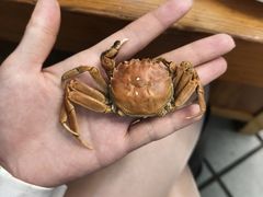 -圣罗巴海鲜烤肉自助(佳兆业店)