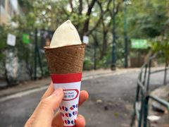 -富豪雪糕车流动点(尖沙咀店)