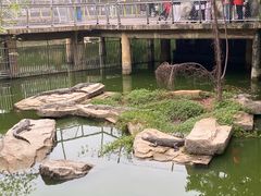 -南昌动物园