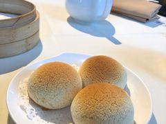 雪顶雄峰-利苑酒家(金宝店)