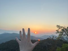 -三亚亚龙湾人间天堂鸟巢度假村