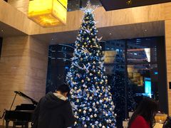 -上海龙之梦万丽酒店