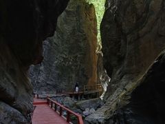 -牛背梁国家森林公园