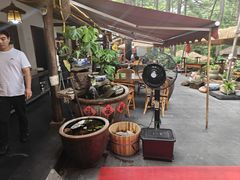 -小小饭店·休闲农庄·安吉松树林里的农家菜