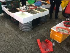 -华威西营里农产品批发市场