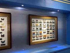 -上海昆虫博物馆