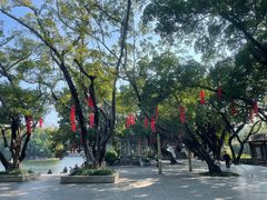 -荔湾湖公园