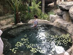 -河源客天下-温泉小镇