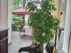 -鹿鸣酒家(越秀店)