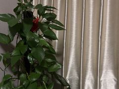 -百玺足道·按摩·SPA(航洋店)