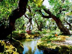 -Chom Cafe and Restaurant