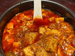-陈麻婆豆腐总店