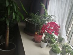 -龙悦·澜泊湾SPA养生中心