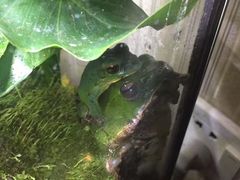 -Rabbit Cafe私房西餐甜点咖啡(栖霞路店)