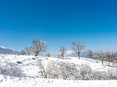 -太子岭滑雪场