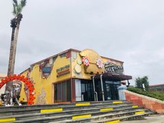 -信不信由你博物馆