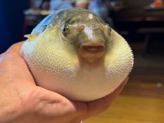 -永安鱼庄·镇江菜(丁卯店)