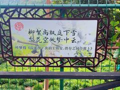 -树山生态村