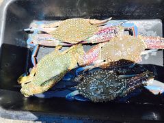 -拉威海鲜市场